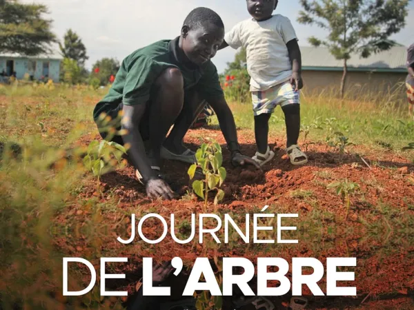 Le meilleur moment pour planter un arbre était il y a 20 ans. Le second meilleur moment est maintenant !
